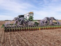 Globale Bedrohung: Weizenpilz breitet sich durch El Niño und Erderwärmung aus