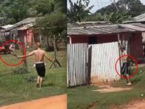 Mann terrorisiert Nachbarn mit Machete, wird festgenommen und läuft schon wieder frei herum