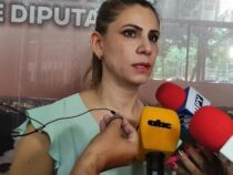 Abgeordnete Roya Torres kündigt den Rücktritt ihres Sohnes an