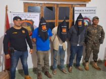 Angestellte einer Estancia wegen des Verschwindens von fast 550 Rindern verhaftet