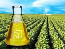 Struktureller Schock? Die Folgen der EU-Soja-Einstufung für Südamerika