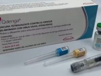 Brasilien beginnt mit der Dengue-Impfung, Paraguay will ebenfalls damit beginnen