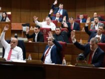 Eine Diktatur der Mittelmäßigen