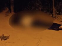 Chaco: Das wahrscheinlichste Motiv des Mordes an dem 16-Jährigen