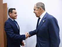 Jetzt ist es ofiziell: Fünf Länder der Region wenden sich von der Kandidatur Paraguays bei der OAS ab