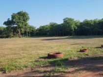 Vom Unkrautfeld zum Fußballplatz