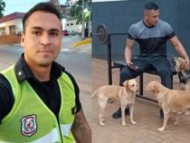 Ein Polizist hat ein Herz für Straßenhunde