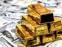 Neugierige fragen sich bereits: Wo ist die Goldmine in Caapucú?