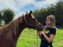 Wenn der Pombero ein Pferd besucht: “Es war nicht der Wind“