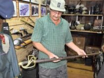 Deutsche Kolonie: Ausverkauf im Museum?