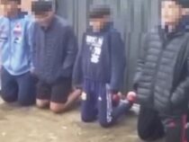 Hat der Mann richtig gehandelt?