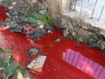 Bach in San Lorenzo ist seit mehreren Tagen rot gefärbt