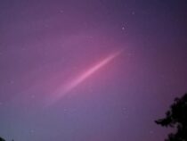 Die Welt wurde rosa