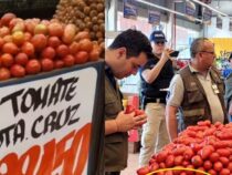 Ein Tomatenkrieg bricht aus