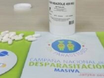 Massenentwurmung von Schulkindern geplant