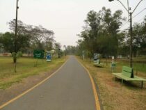 Sorge um illegale Sex-Treffen im Ñu Guasu Park