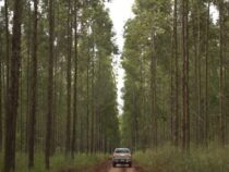 Warum ist die Wegeerhaltung entscheidend für die Infrastruktur?