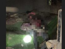 68-Jährige verbrennt bei lebendigem Leib im Bett