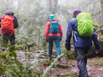 Möchten Sie die Natur erkunden? Dies sind die wichtigsten Dinge, die Sie brauchen