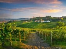 Auf nach Italien zur Weinprobe