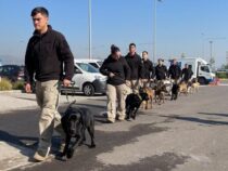 Neue Drogenspürhunde in Ausbildung