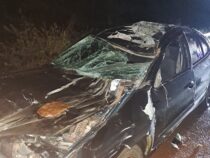 Freilaufende Kuh verursacht schweren Unfall