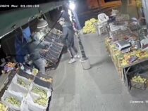 Der Mann mit der Peitsche