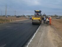 Ruta de la Leche, die Straße, die Paraguays Milchwirtschaft voranbringen wird