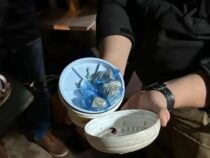 Crack im Duschkopf versteckt