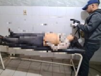 Einsatz einer Schusswaffe: Streit um Haustiere eskalierte