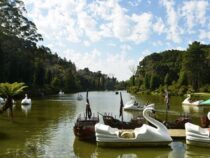 Von Encarnación nach Gramado mit dem Bus: Die Chronik einer beeindruckenden Reise