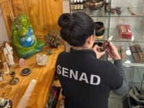 Ahnenforschung mit halluzinogen Substanzen