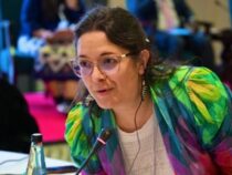 UN-Sonderberichterstatterin fordert Paraguay auf, die Stigmatisierung von NGOs zu beenden