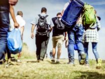 Historischer Trend: Deutsche Zuwanderung in Paraguay verzeichnet massiven Anstieg