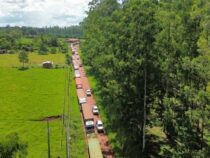 Die Route der “Einwanderer“ wird Realität
