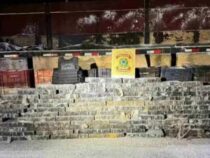 Gewiefter Trucker:  Fast 2 Tonnen Marihuana in doppeltem Boden seines Lkws versteckt