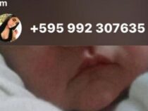 Neue Betrugsmasche mit Babyfotos