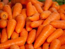 Gesund, lange haltbar und auf dem Weg über die Grenze