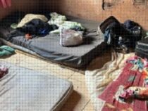 Sklavenarbeit auf einer Maniokplantage in Brasilien