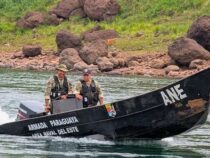 Interpol und andere Behörden nehmen 26 Personen wegen illegaler Abholzung im Dreiländereck fest