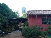 Deutscher ermordet vermutlich im Drogenrausch 73-Jährigen: “Ich habe den Teufel getötet“