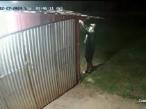 Auf Glühbirnen abgesehen: Dieb wandert wohl bald wieder ins Gefängnis