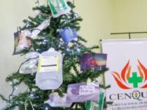 Schockierende Aktion: Weihnachtsbaum zeigt Folgen der Pyrotechnik