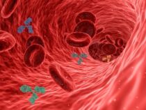 Immunsystem stärken: Natürliche Wege zur Infektabwehr