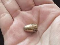 Frau wird von verirrter Kugel getroffen