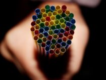 Die Stadtverwaltung verhängt Geldstrafen für die Ausgabe von Strohhalmen an Kunden