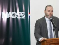 Laut dem Umweltminister seien alle Brände illegal