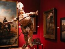 Museum der Schönen Künste: Besuchen Sie die Ausstellung “Beckelmann Monumental“
