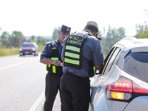Osterwoche: Aufgepasst! Das sind die Dokumente, die die Straßenpatrouille verlangt
