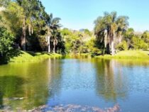 Rallye-WM: 100.000 Camper erwartet